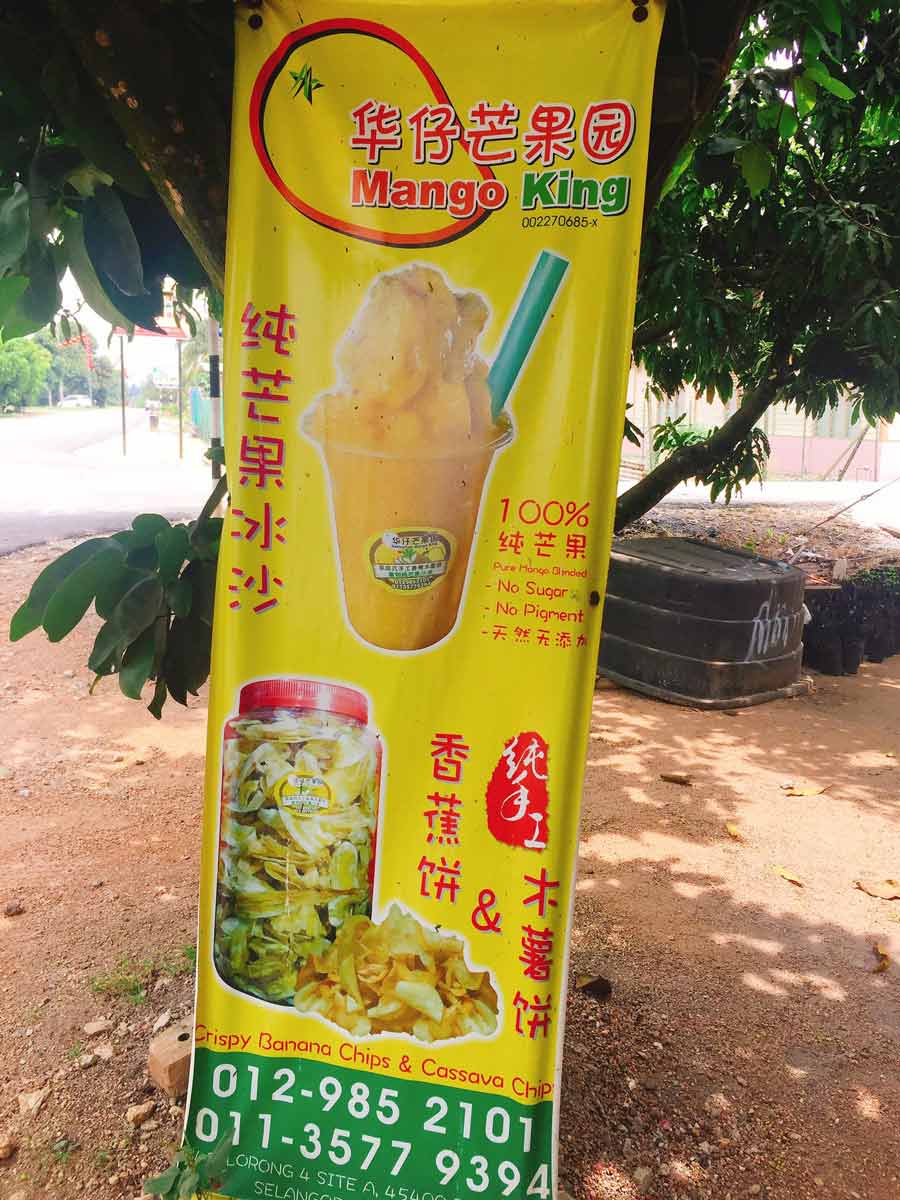 Mango King Sekinchan