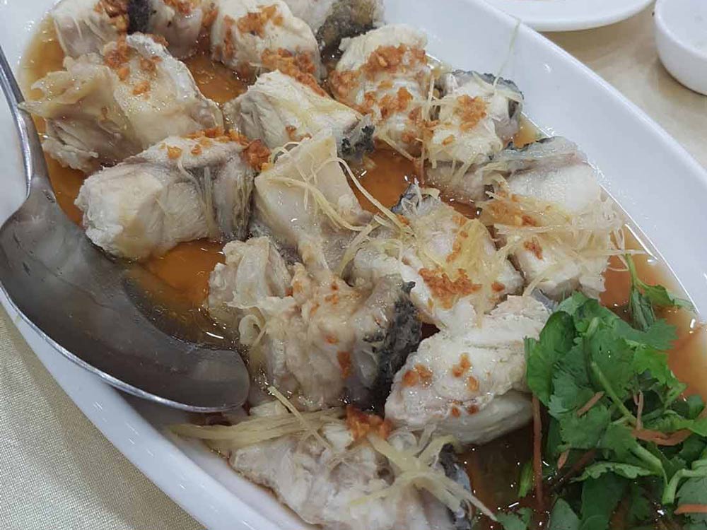 Hao Xiang Chi Seafood Restaurant  Steamed Fish  好想吃海鲜大酒家