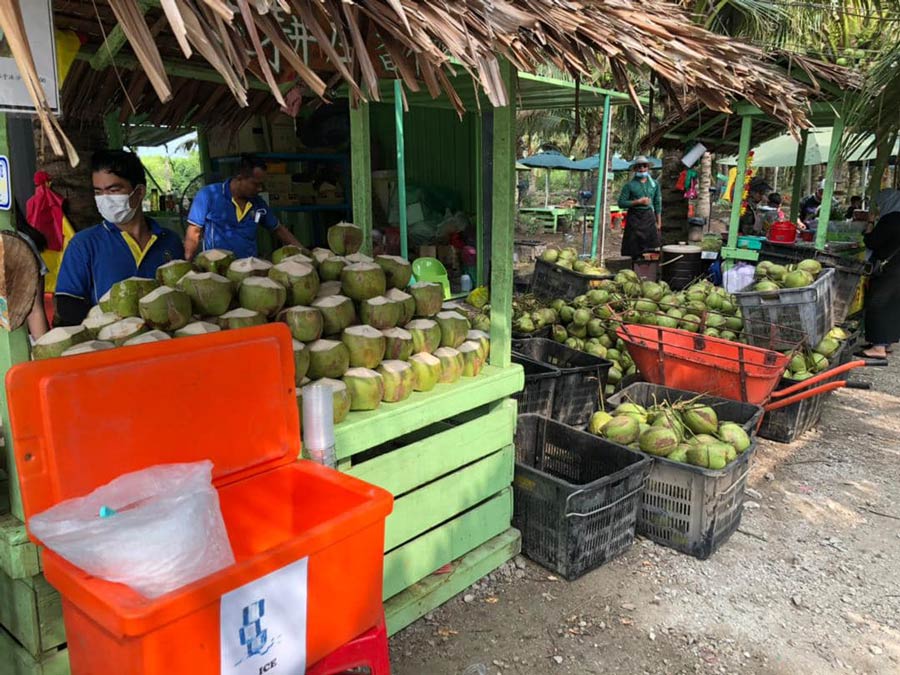 Sekinchan Coconut Farm - Coconut Stall