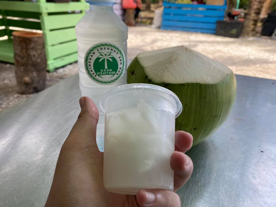Pandan Coconut Water (in bottle)