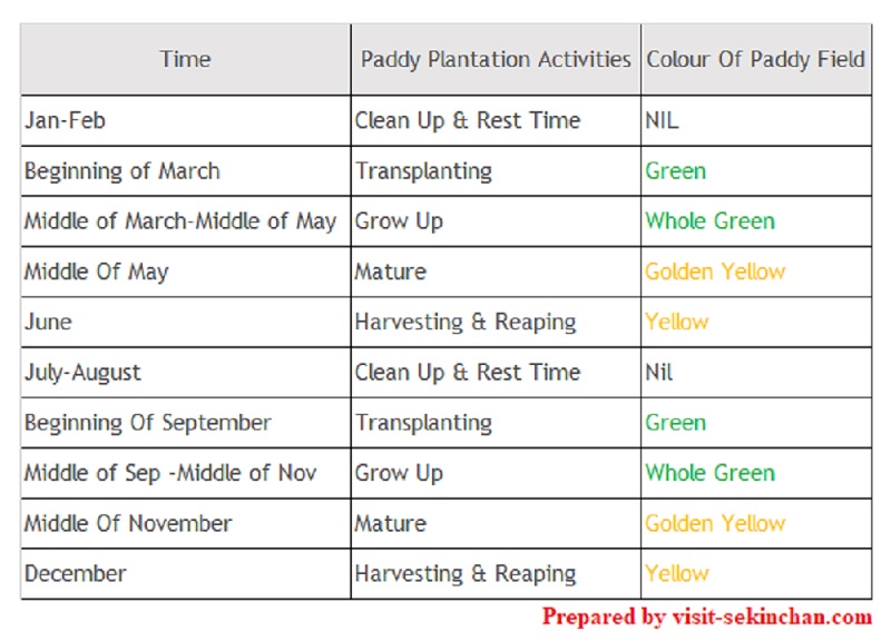 Sekinchan Paddy Plantation Sechedule